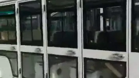 11 Seater Electric Bus Sightseeing Car
