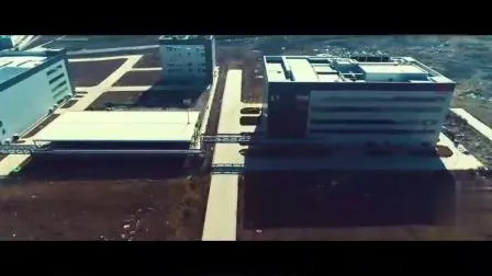 Omeprazole Sodium for Injeciton Pharmaceutical 40mg with GMP Certificate