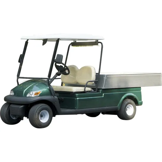 2 Seater Electric Utility Golf Cart with Rear Cargo