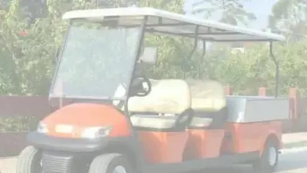 Factory Use Transport Golf Buggy with Rear Cargo Bed