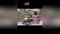 2 Seaters Mini Electric Golf Cart Curtis Controller with Italy Graziano Axle 