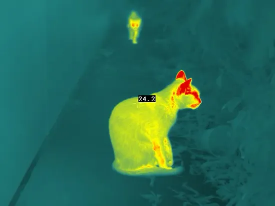 Infrared Thermal Imaging Sensor 640×512/12μm for UAV Payloads 