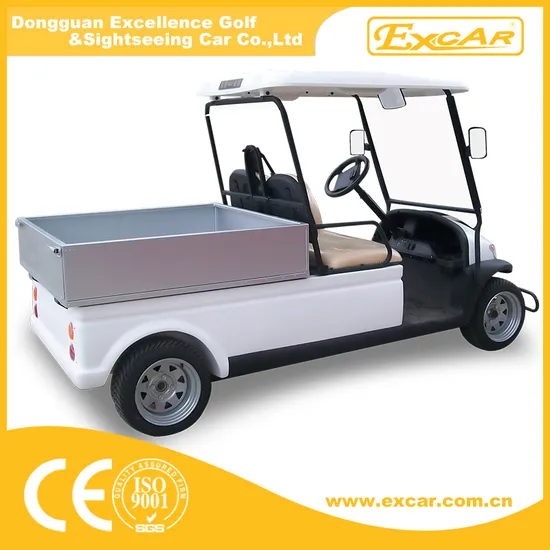 A1h2 High Quality Electric Golf Car with Cargo Box 