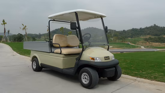 Hot Sale Ce Approved Electric Utility Golf Buggy with Cargo 