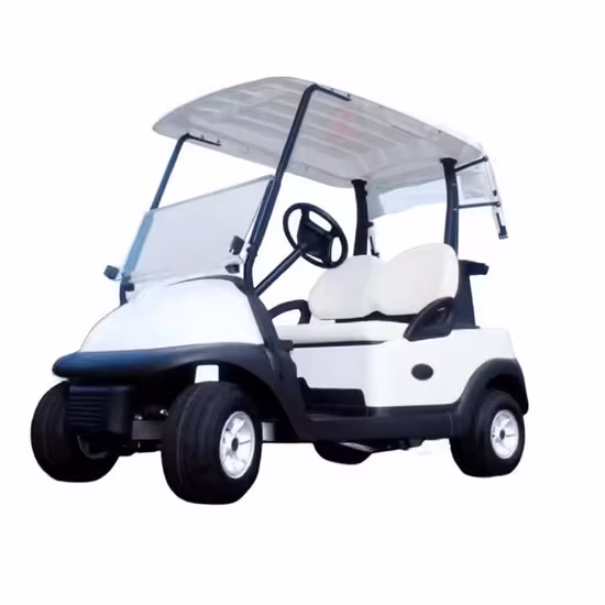 Hot Sale 2 Person Electric Mini Car Golf Cart 