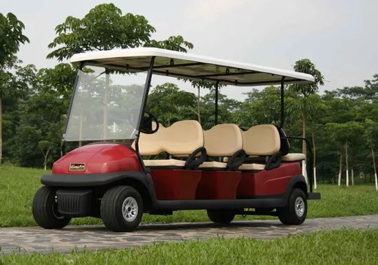 Cheap 8 People Electric Sightseeing Car for Sale 