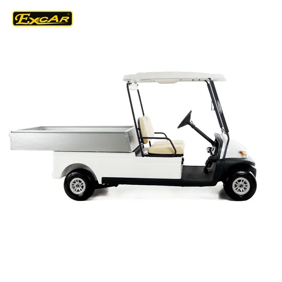 Utility 48V Battery Hotel Buggy Car with Cargo Excar 2 Seater Buggy 