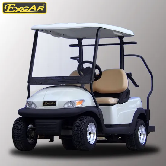 White Color 2 Seater Golf Cart with Caddie Plate 