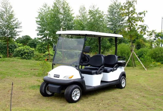 48V Buggy Car Electric Golf Cart (4 seater) 