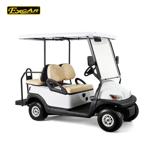 Mission Hill Golf Club Supplier 2 Seater Electric Golf Cart 